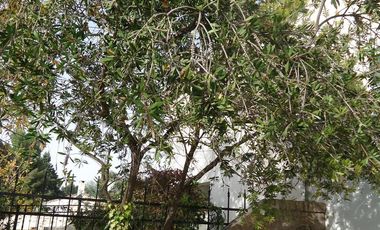 VENTA Duplex Alta barda 3 dormitorios Apto Credito