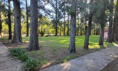 Casa en venta -  6 Dormitorios 3 Baños - Cocheras - 6700Mts2 - La Reja, Moreno