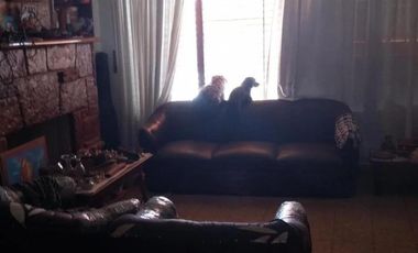 Casa en venta - 3 Dormitorios 1 Baño - 320Mts2 - Leones, Marcos Juárez, Córdoba