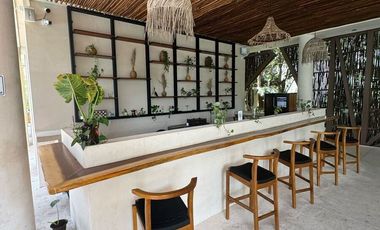 Ophelia Condominium - 2 Bedroom - Aldea Zama