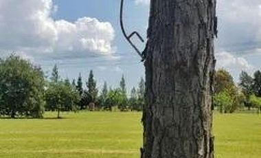 Terreno en venta - 1.168,01Mts2 - La Soberana, General Rodríguez