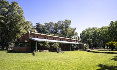 Campo de 38 hectareas en Navarro