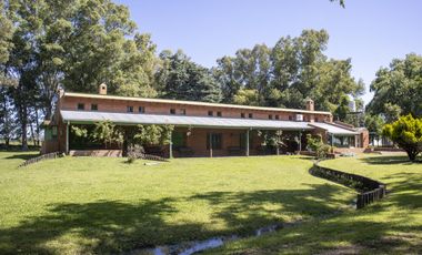Campo de 38 hectareas en Navarro