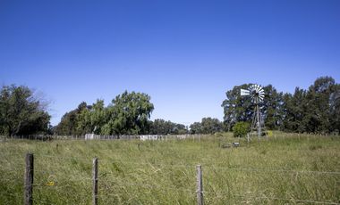 Campo de 38 hectareas en Navarro