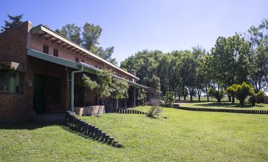 Campo de 38 hectareas en Navarro