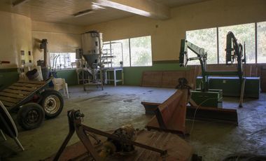 Campo de 38 hectareas en Navarro