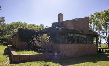 Campo de 38 hectareas en Navarro