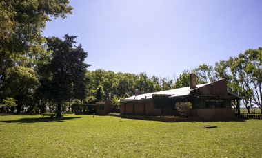 Campo de 38 hectareas en Navarro