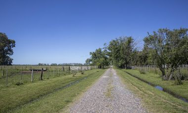 Campo de 38 hectareas en Navarro