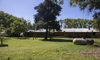 Campo de 38 hectareas en Navarro