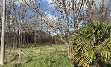 Terreno en Elviara, con estratégica ubicación sobre la calle principal