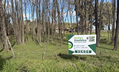 Terreno en Elviara, con estratégica ubicación sobre la calle principal
