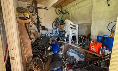 Tulipanes 2, Calimaya