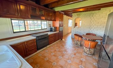 Tulipanes 2, Calimaya