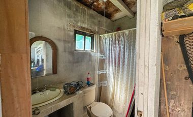 Tulipanes 2, Calimaya