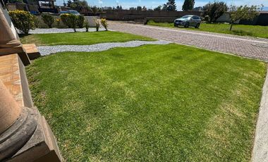 Tulipanes 2, Calimaya