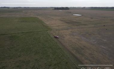 Campo en venta de 335 has 80% sembrable