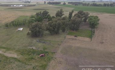 Campo en venta de 335 has 80% sembrable