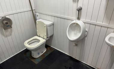 Venta Nave Industrial en Pablo Podesta de 8250 m2 cubiertos - FINANCIACION