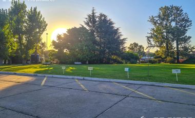 Deposito en alquiler de 530 m2, en predio con seguridad, Olivos