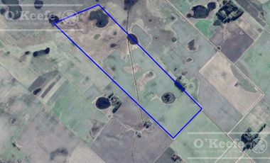 Campo en venta de 90 has en Saladillo Mixto