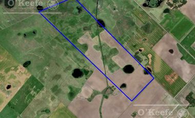 Campo en venta de 90 has en Saladillo Mixto