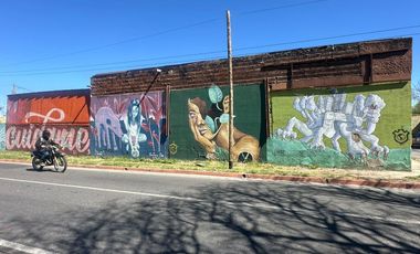 Galpón s/ Av. Costanera Sur. 760m2 Cub. 1293 m2 Terreno  c/ Salida a 2 calles!