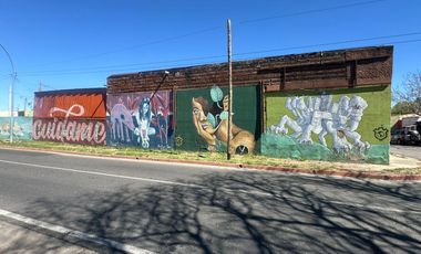 Galpón s/ Av. Costanera Sur. 760m2 Cub. 1293 m2 Terreno  c/ Salida a 2 calles!