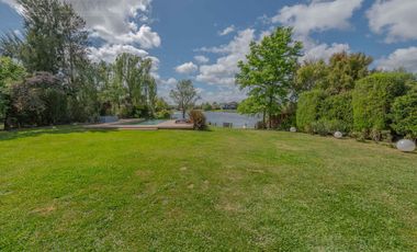 02 al 31 ENERO. GRAN LOTE A LAGUNA.