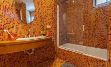 02 al 31 ENERO. GRAN LOTE A LAGUNA.