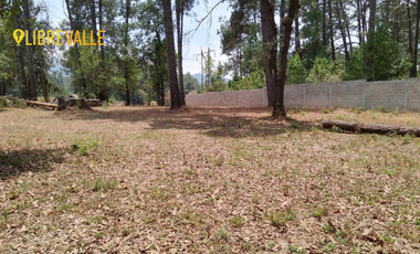 RENTA TERRENO EN VALLE DE BRAVO- TERRENO RACING