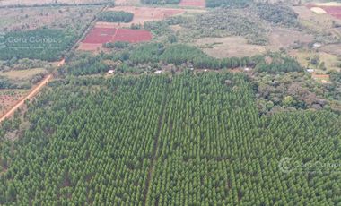 Chacra en Venta  - 25 hectáreas. Gdor, Roca.