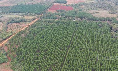 Chacra en Venta  - 25 hectáreas. Gdor, Roca.