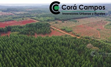 Chacra en Venta  - 25 hectáreas. Gdor, Roca.