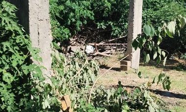 Locales Comerciales en venta - 300Mts2 - Merlo