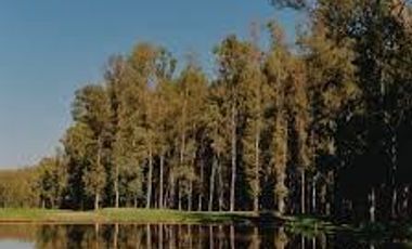 VENTA TERRENO EN CAMPO TIMBÓ