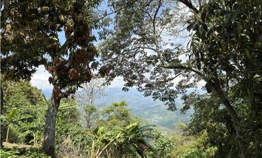 Terreno en venta La Mesa