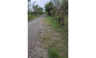 CABUYAL VENDO FINCA AGRICOLA PRODUCTIVA AGUA ABUNDANTE  1 0 2 FINCAS