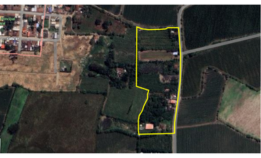 CABUYAL VENDO FINCA AGRICOLA PRODUCTIVA AGUA ABUNDANTE  1 0 2 FINCAS