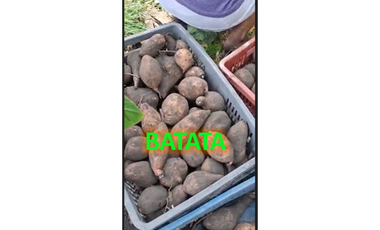 CABUYAL VENDO FINCA AGRICOLA PRODUCTIVA AGUA ABUNDANTE  1 0 2 FINCAS