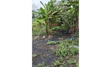 CABUYAL VENDO FINCA AGRICOLA PRODUCTIVA AGUA ABUNDANTE  1 0 2 FINCAS