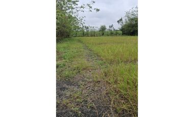 CABUYAL VENDO FINCA AGRICOLA PRODUCTIVA AGUA ABUNDANTE  1 0 2 FINCAS