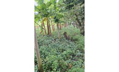 CABUYAL VENDO FINCA AGRICOLA PRODUCTIVA AGUA ABUNDANTE  1 0 2 FINCAS