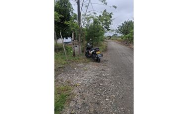 CABUYAL VENDO FINCA AGRICOLA PRODUCTIVA AGUA ABUNDANTE  1 0 2 FINCAS