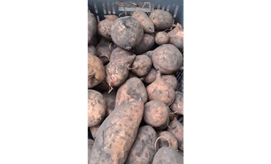 CABUYAL VENDO FINCA AGRICOLA PRODUCTIVA AGUA ABUNDANTE  1 0 2 FINCAS