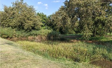 LOTE EN VENTA, ALFAGUARA, JAMUNDI, VALLE DEL CAUCA