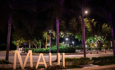 PH MAUI - COSTA DEL MAR - COSTA DEL ESTE - VENTA