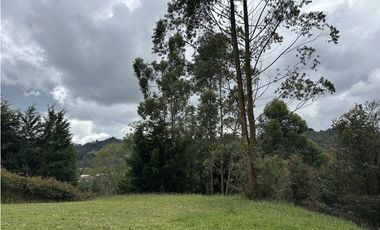 Venta de Lote en El Retiro Via Don Diego LLanogrande