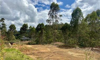 Venta Del Lote En El Retiro Via Don Diego LLanogrande