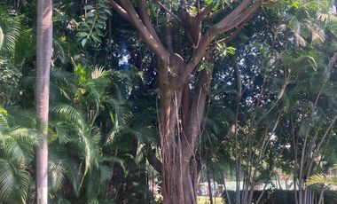 Casa en Club de golf Tabachines